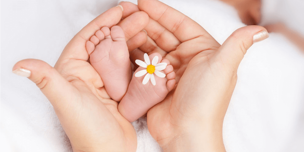 Postpartum Services